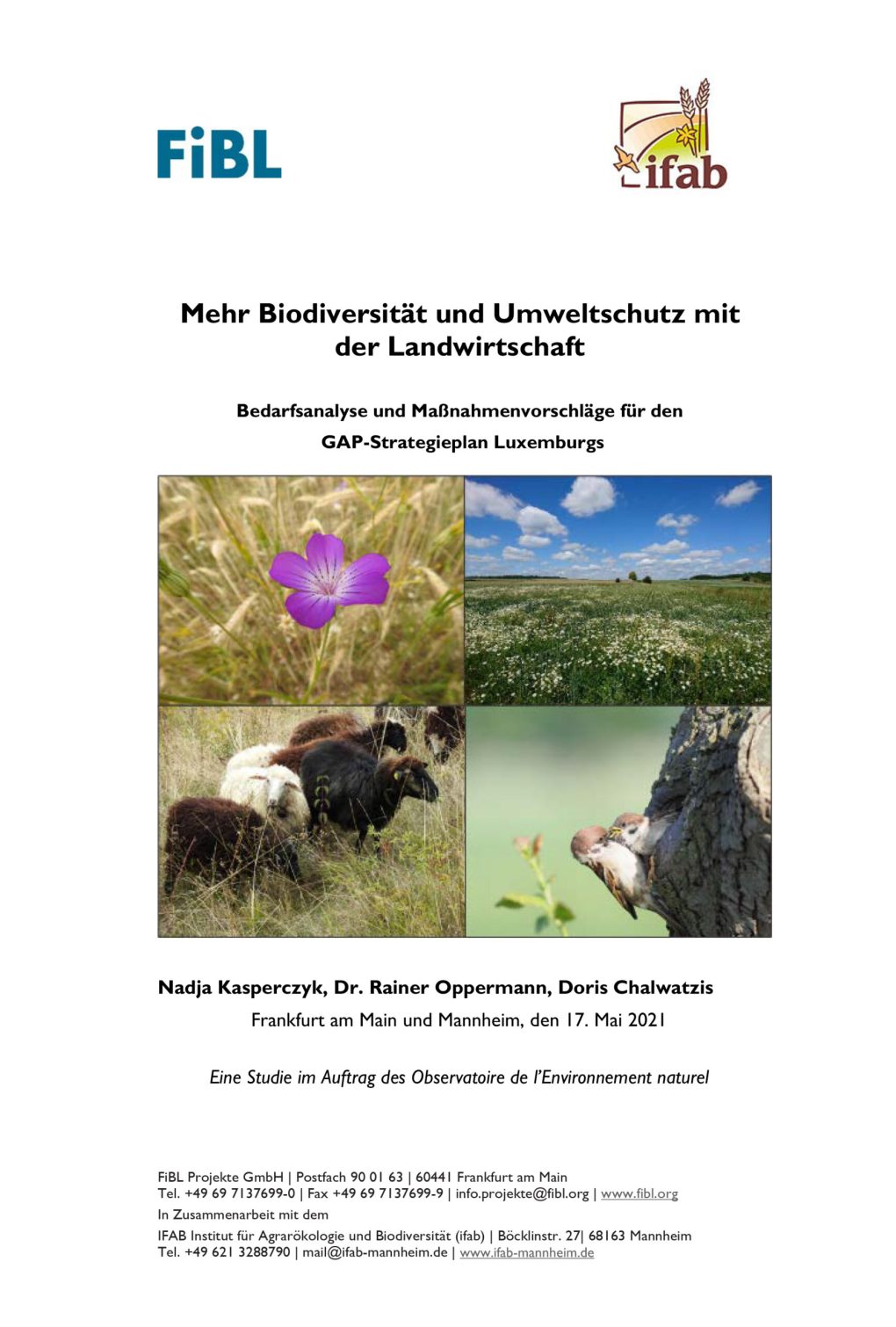 Bedarfsanalyse und Maßnahmenvorschläge für den GAP-Strategieplan Luxemburgs (2021)